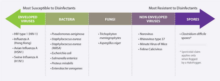 Disinfectant Chart