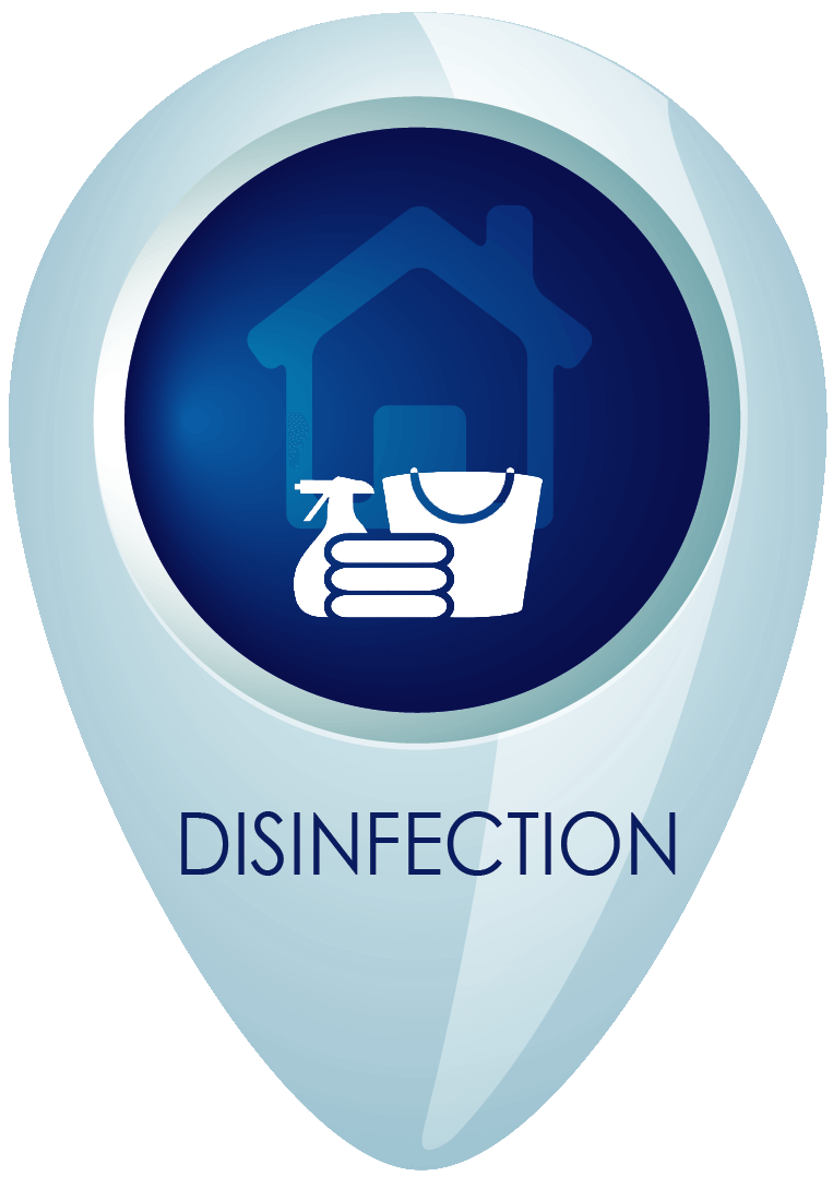 Disinfection & Covid Cleanup